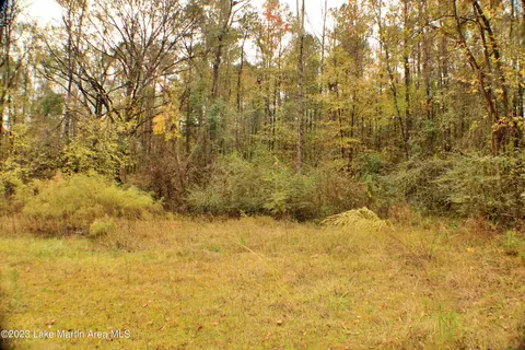 2048 Mt Hebron Rd, Eclectic, AL 36024 photo 9
