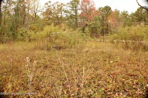 2048 Mt Hebron Rd, Eclectic, AL 36024 photo 8