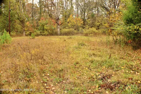 2048 Mt Hebron Rd, Eclectic, AL 36024 photo 10