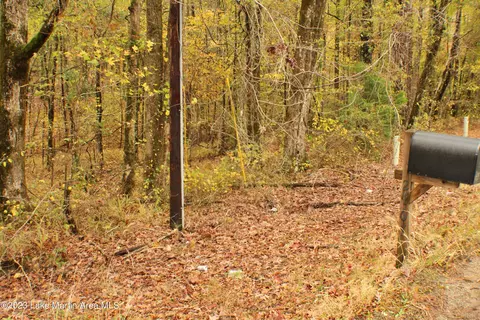 2048 Mt Hebron Rd, Eclectic, AL 36024 photo 4