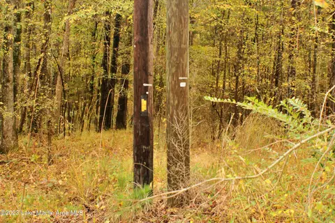 2048 Mt Hebron Rd, Eclectic, AL 36024 photo 5