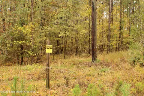 2048 Mt Hebron Rd, Eclectic, AL 36024 photo 3