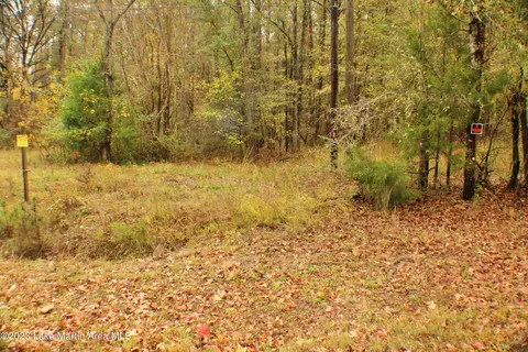 2048 Mt Hebron Rd, Eclectic, AL 36024 photo 11