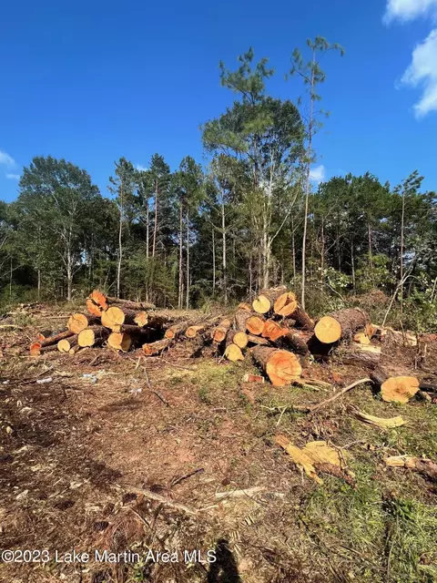 Fulton St, Dadeville, AL 36853