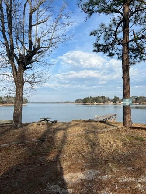 Pine Drive, Eclectic, AL 36024 photo 11