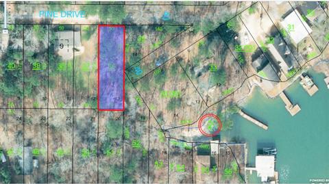 Pine Drive, Eclectic, AL 36024