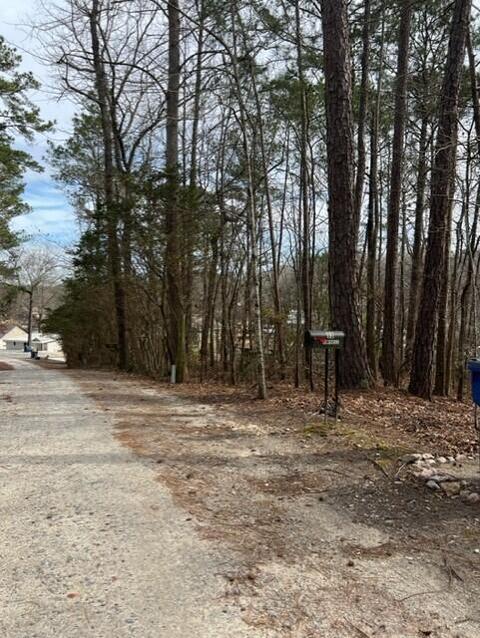 Pine Drive, Eclectic, AL 36024 photo 7