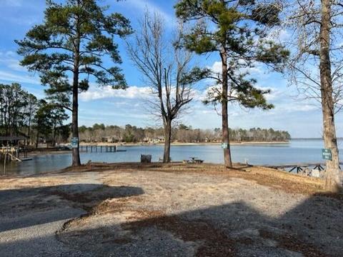 Pine Drive, Eclectic, AL 36024 photo 10