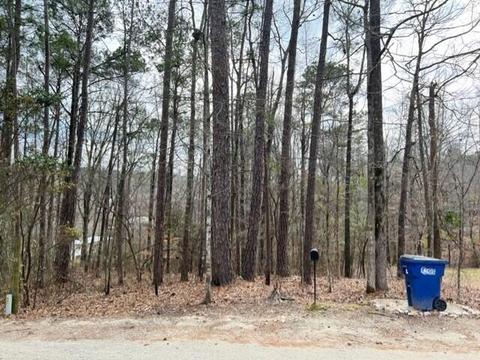 Pine Drive, Eclectic, AL 36024 photo 4