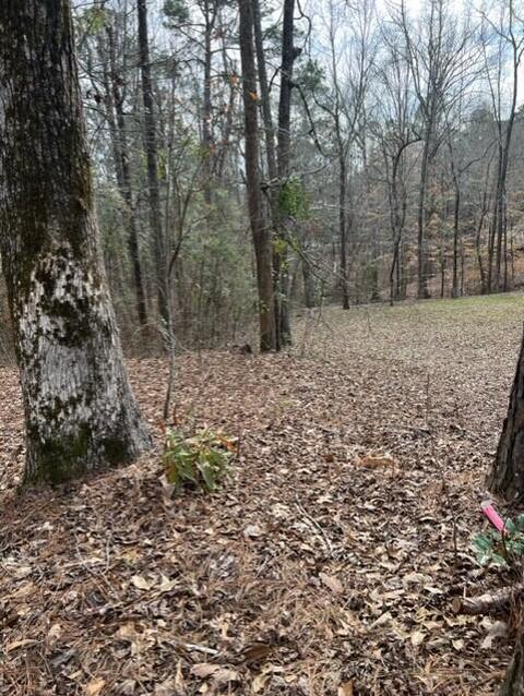 Pine Drive, Eclectic, AL 36024 photo 5