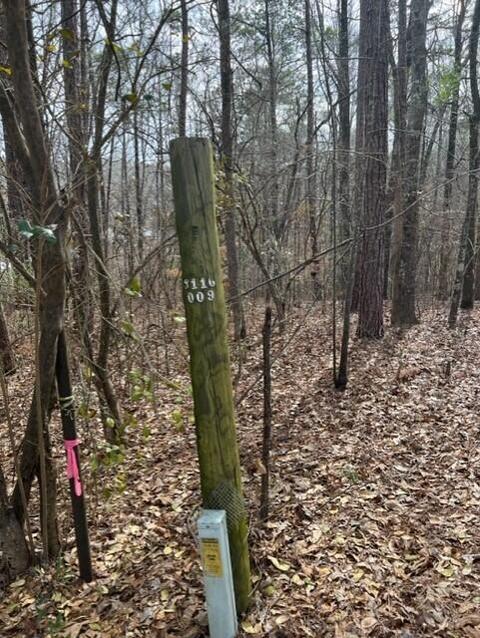 Pine Drive, Eclectic, AL 36024 photo 6