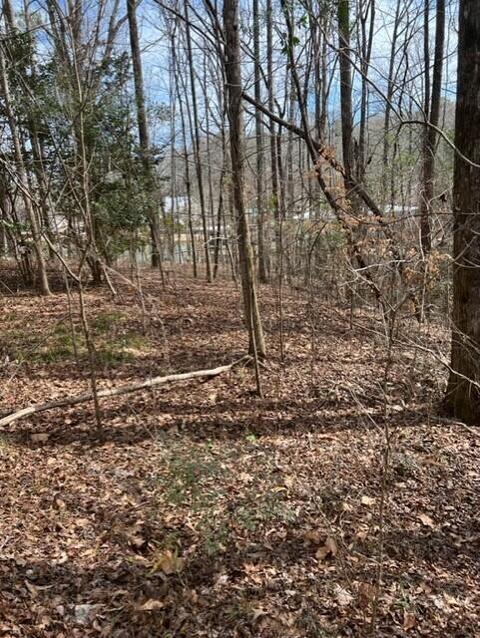 Pine Drive, Eclectic, AL 36024 photo 2