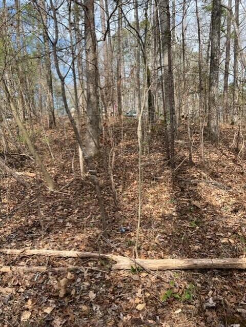 Pine Drive, Eclectic, AL 36024 photo 3