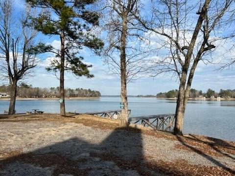 Pine Drive, Eclectic, AL 36024 photo 12