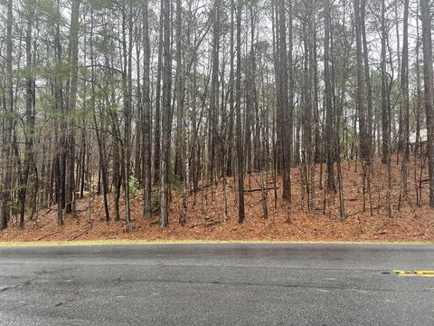 Lot 56 Stillwaters Drive Dr, Dadeville, AL 36853