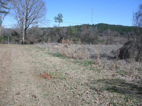 8 Lots Henderson St, Dadeville, AL 36853