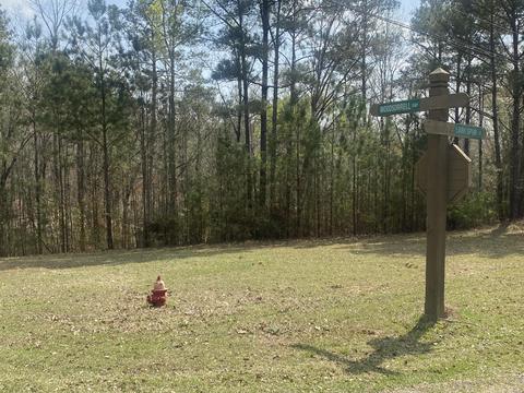 25 Larkspur Ln, Jacksons Gap, AL 36861