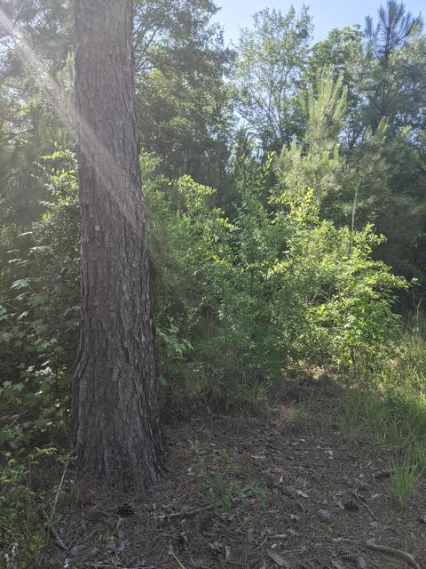 21577 Al-49, Tallassee, AL 36078