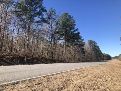 State Hwy 148, Ashland, AL 36251