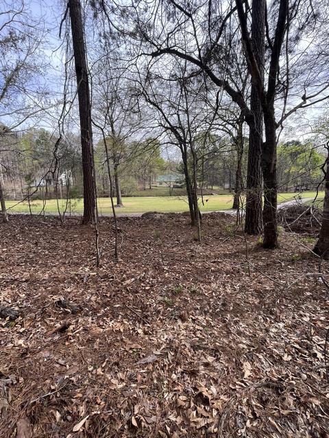lot119 Hickory Way, Dadeville, AL 36853