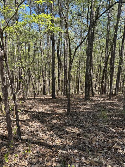 lot28 Deer Hollow Trl, Dadeville, AL 36853