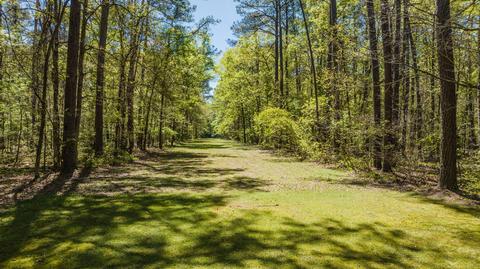 9260 Vaughn Rd, Pike Road, AL 36064 photo 74