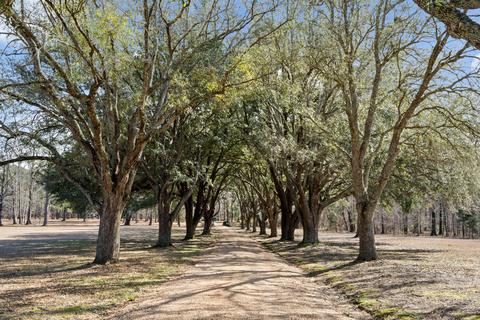 9260 Vaughn Rd, Pike Road, AL 36064 photo 71