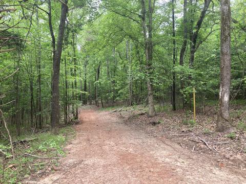 891 Coosa County Rd 4, Equality, AL 36026