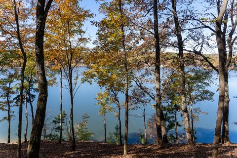 lot56 Bay Pt, Jacksons Gap, AL 36861