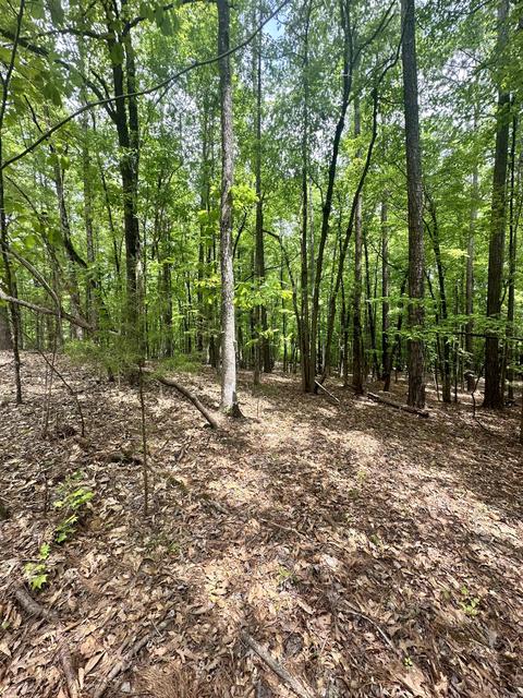 58 Windwood Drive, Dadeville, AL 36853