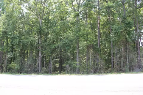 13 Acres On Hwy 49 S, Dadeville, AL 36853