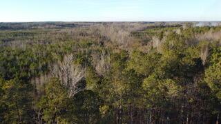 0 0 County Road 177, Cusseta, AL 36852