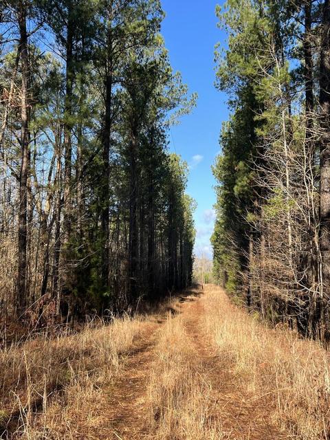 County Road 83, Cusseta, AL 36852