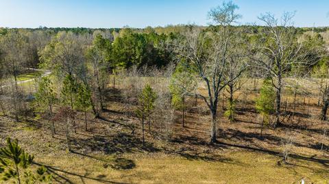 250 Crossing Ln, Pike Road, AL 36064
