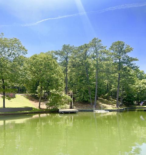 211 Delilah Ln, Eclectic, AL 36024