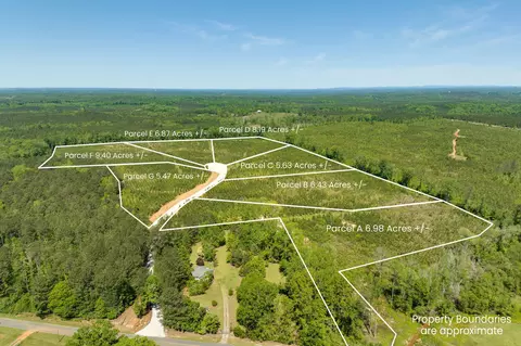 48 Acres Berry Ln, Dadeville, AL 36853