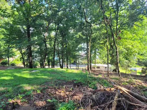 58 Hill Dr, Eclectic, AL 36024 photo 4