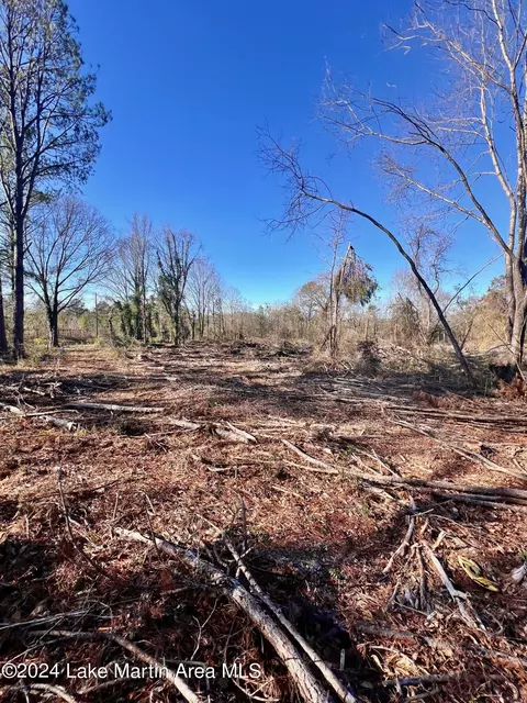 Fulton St, Dadeville, AL 36853
