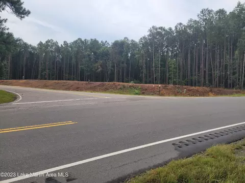 2 Acres Mccain Rd, Eclectic, AL 36024 photo 2
