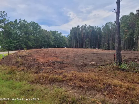 2 Acres Mccain Rd, Eclectic, AL 36024 photo 6