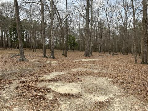 Riverstone Court Way, Eclectic, AL 36024
