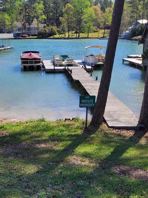 335 Ridgeway Dr, Eclectic, AL 36024 photo 10