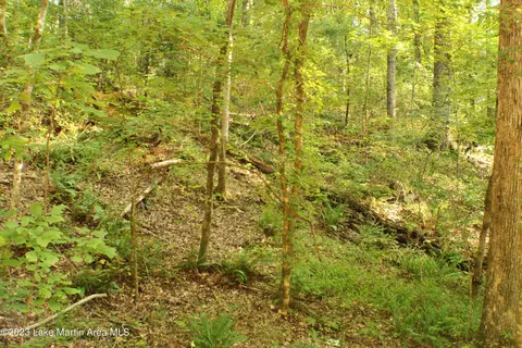 Violet Ln, Dadeville, AL 36853