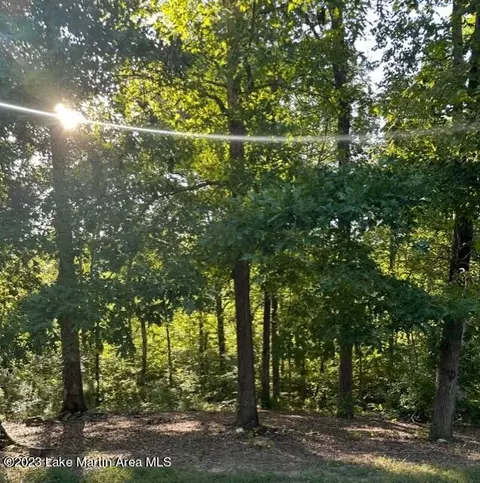 Unnamed Rd, Rockford, AL 35136