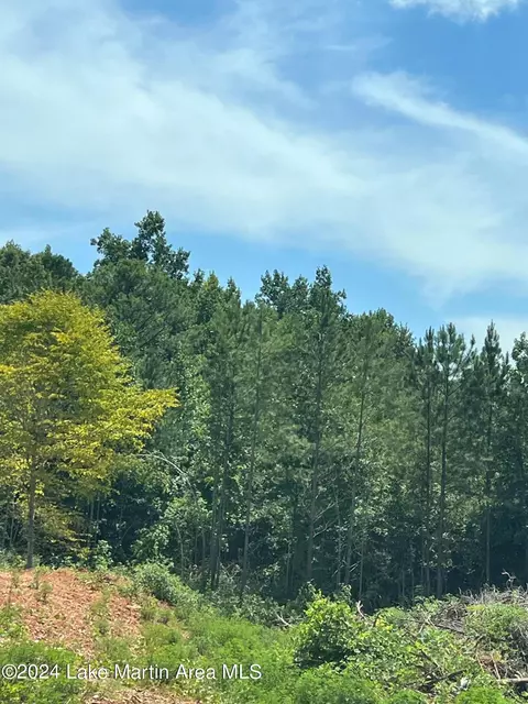 Manoy Dr, Jacksons Gap, AL 36861