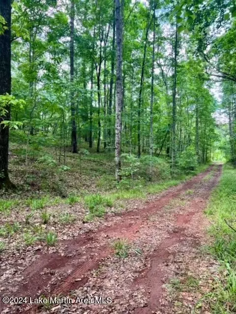 Redbud Ln, Dadeville, AL 36853