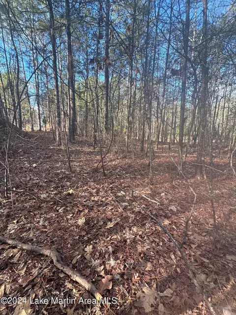 Arrowhead Rd, Dadeville, AL 36853