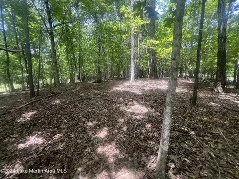 lot18 Palmer Dr, Dadeville, AL 36853