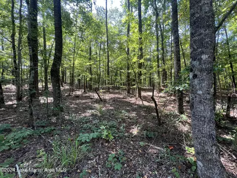 lot14 Stillwaters Dr, Dadeville, AL 36853