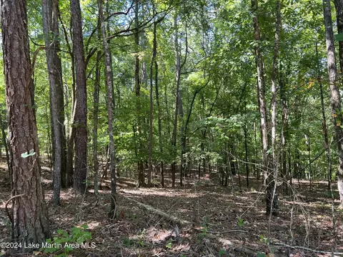 lot26 Tree Top Ln, Dadeville, AL 36853